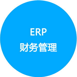 ERP财务管理